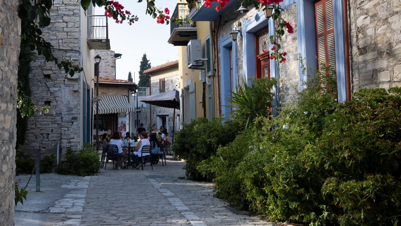 6. Choose Destinations With Plant-Friendly Options