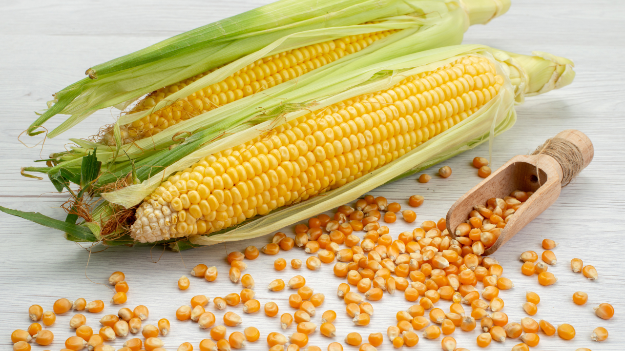 10. Corn