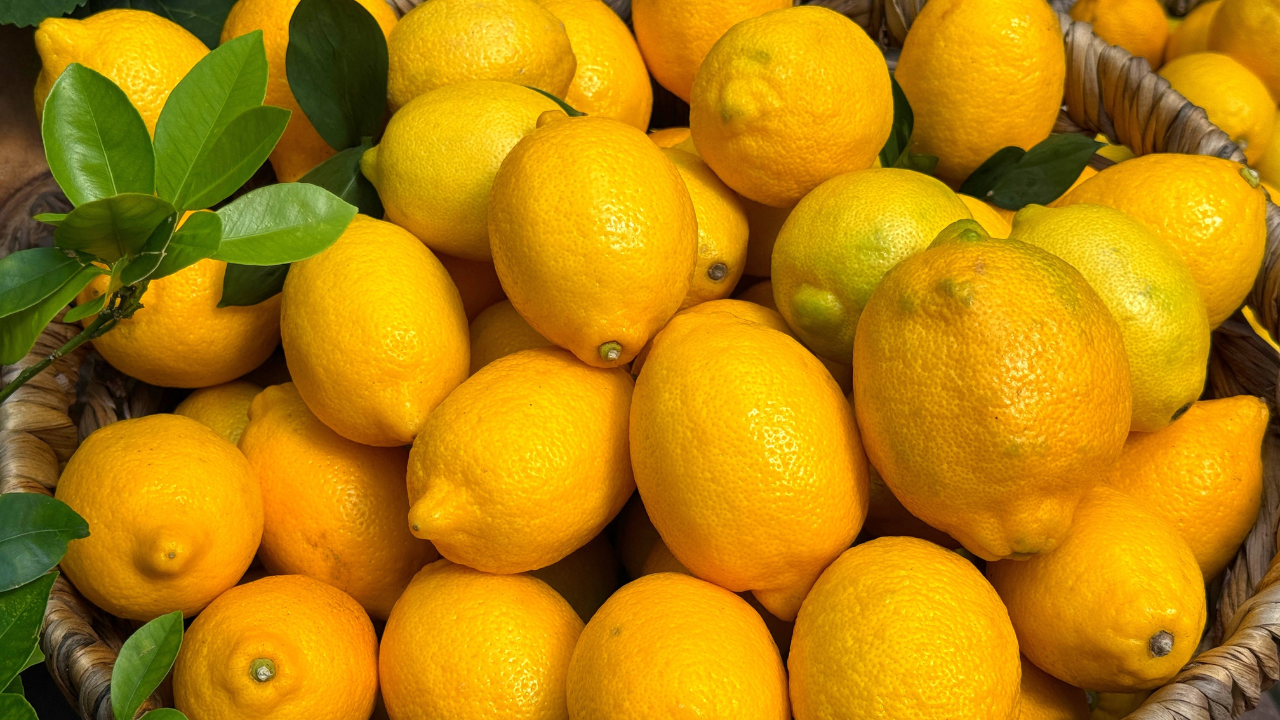 1. Lemon