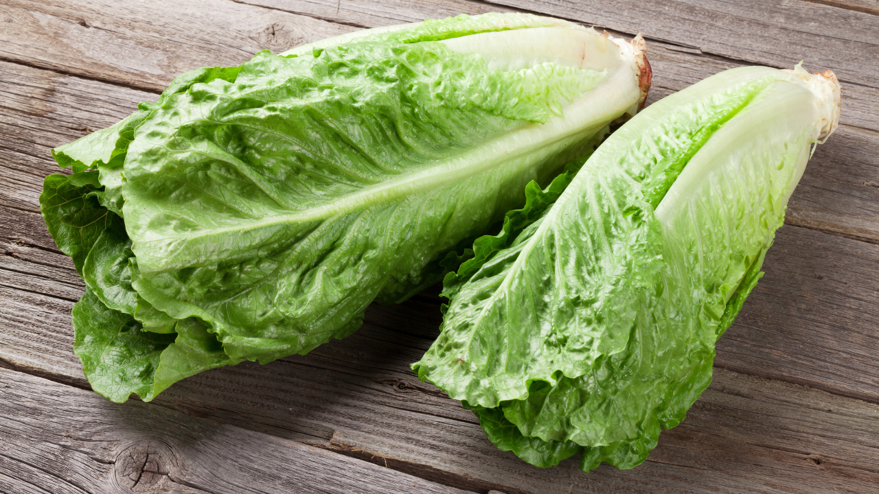 21. Lettuce