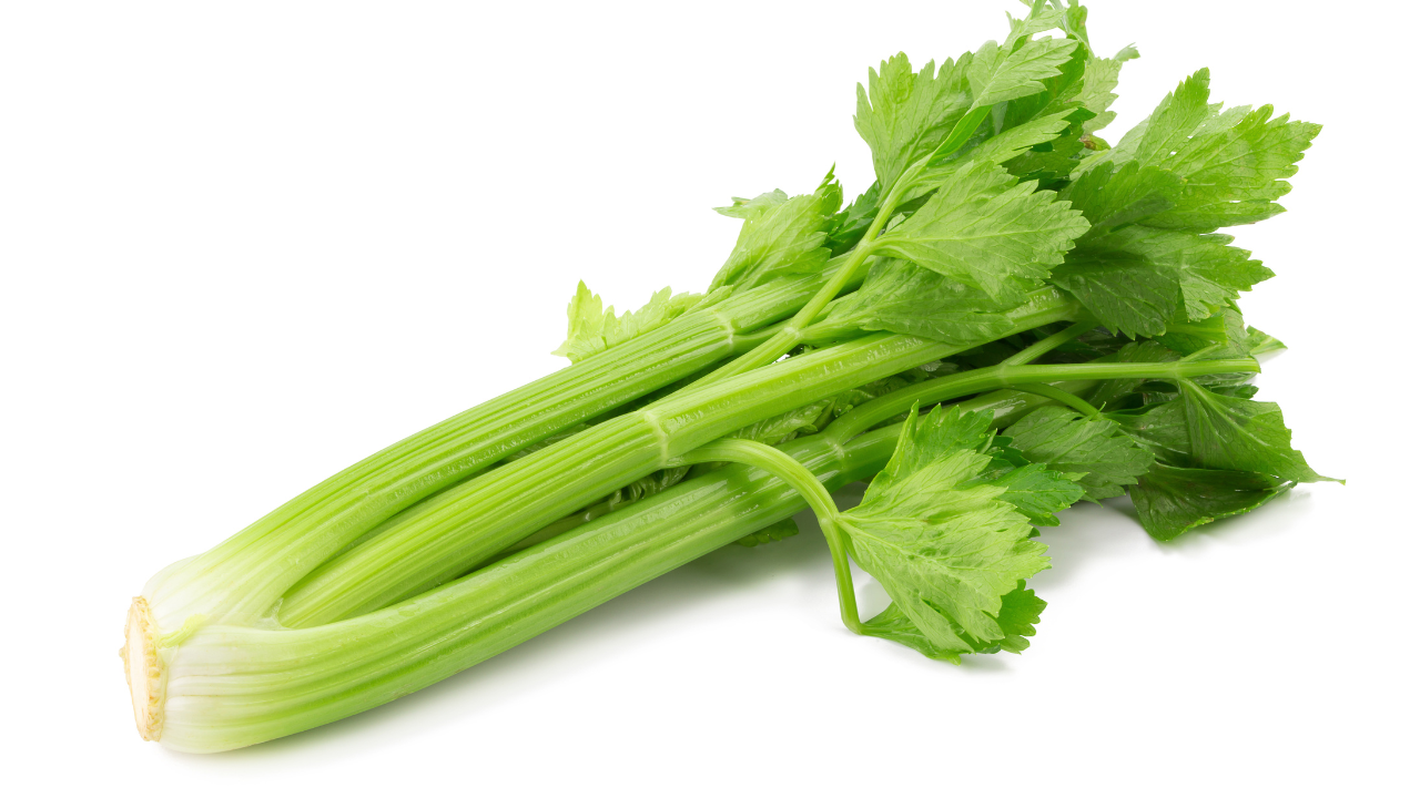 16. Celery