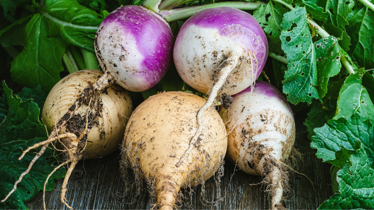 27. Turnips