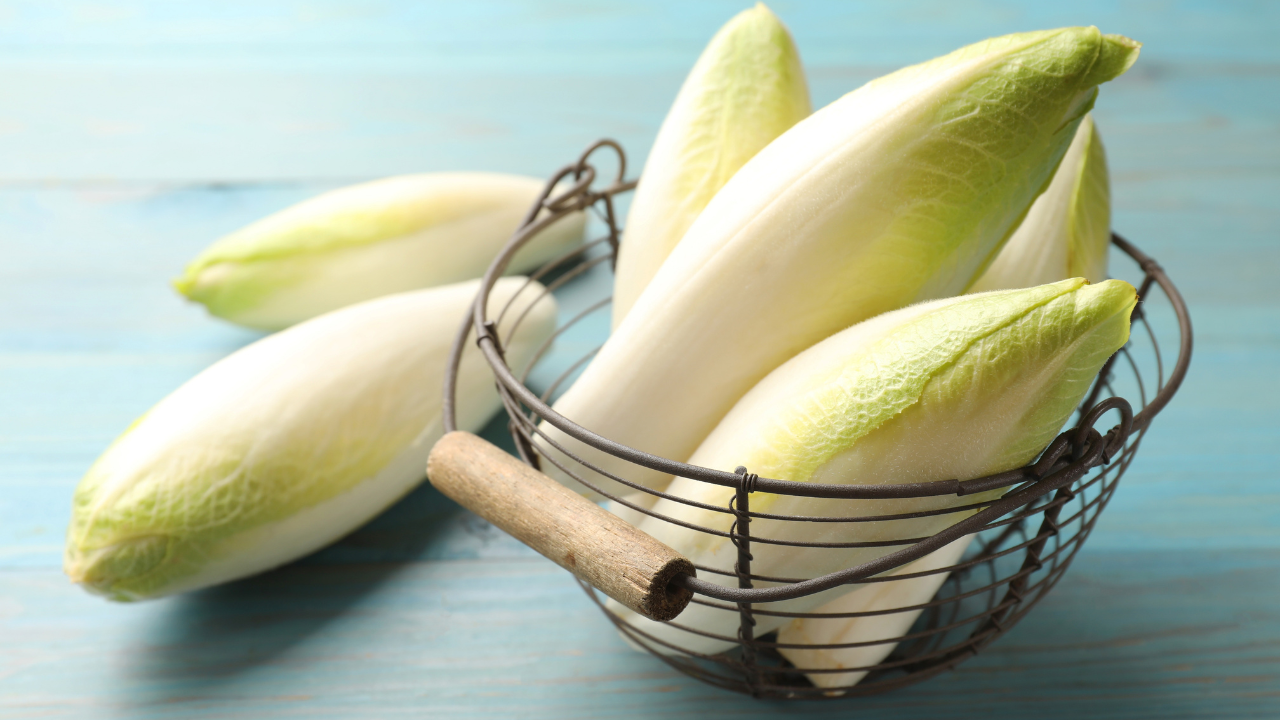 30. Chicory