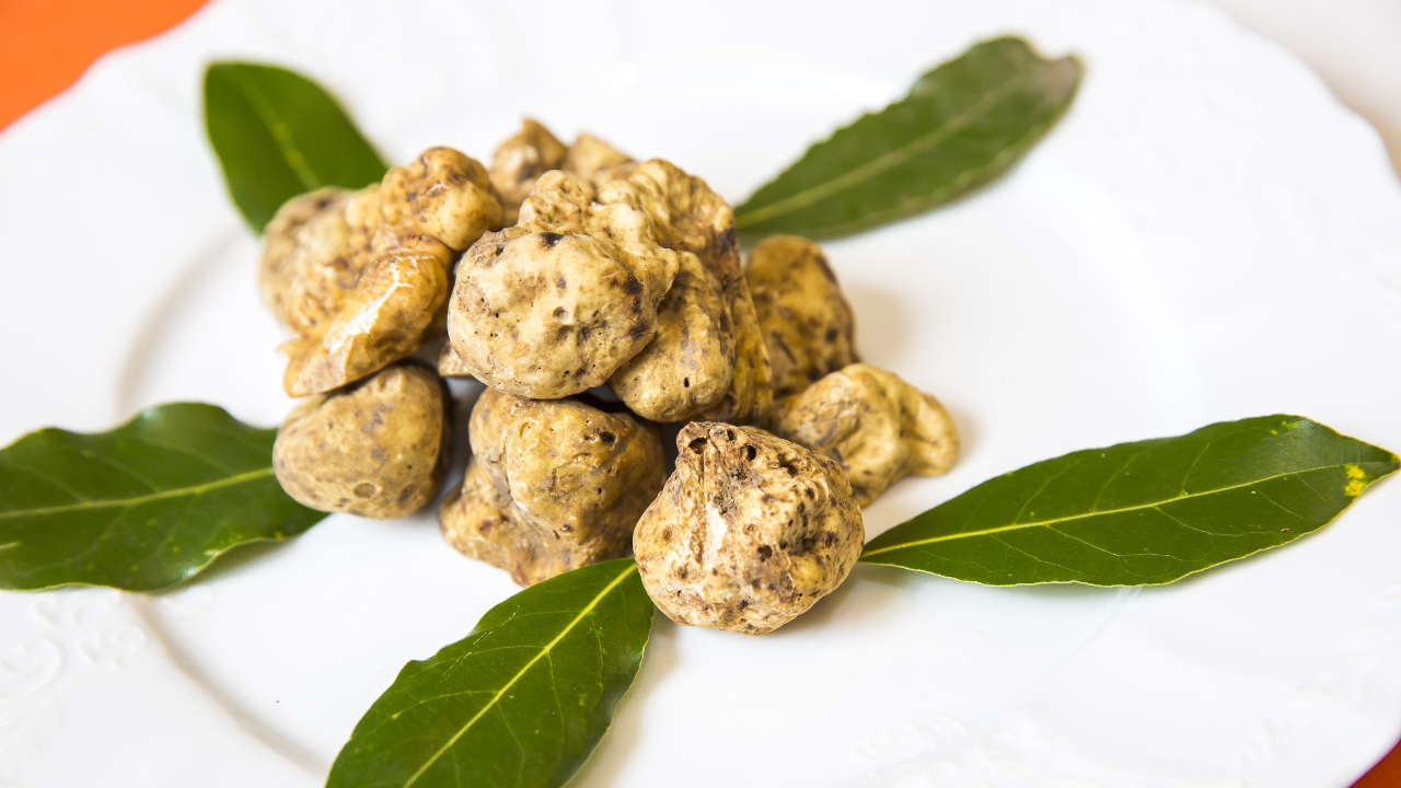 8. White Alba truffles